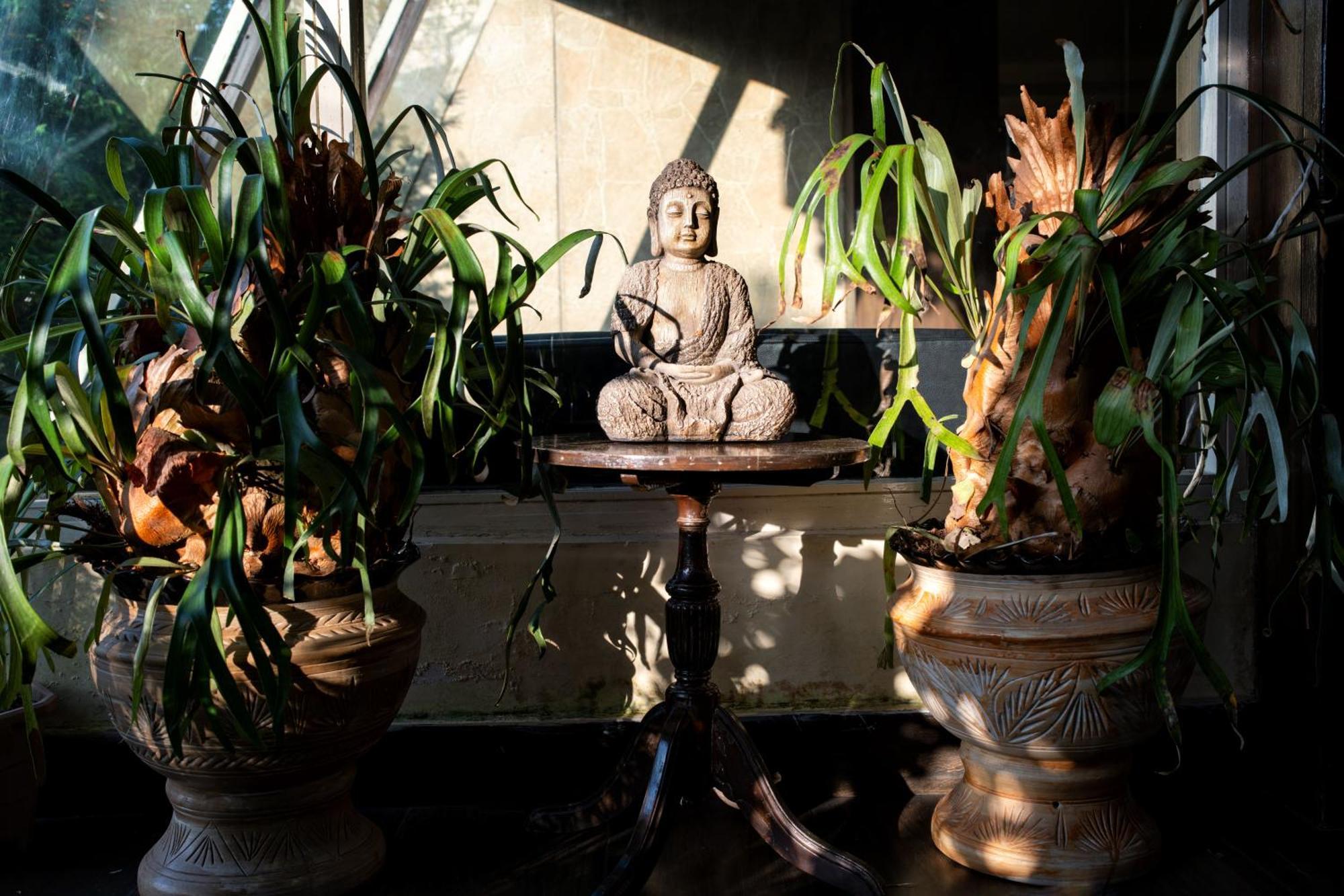 Hotel Viceroy Darjeeling  Eksteriør bilde